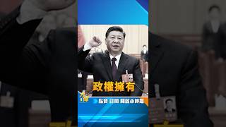 美國真的是一個民主國家嗎？ [upl. by Artie]