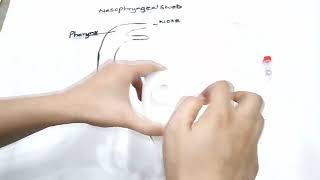 PCR testing technique  Nasopharyngeal swab technique  COVID19 Corona testing at home [upl. by Olivann]