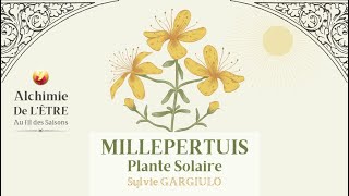 MILLEPERTUIS  PLANTE SOLAIRE AUX MILLE VERTUS extrait quotAlchimie de lÊtre au fil des Saisonsquot [upl. by Birdt]