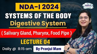 NDAI 2024  SYSTEMS OF THE BODY Digestive system salivary gland pharynx food pipe Lecture  4 [upl. by Ingraham]