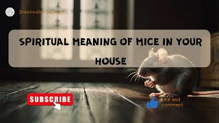 Spiritual Meaning of Mice in Your House  What Do Mice Symbolize [upl. by Nemracledairam]