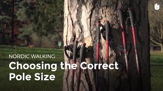 Choosing the Correct Pole Size  Nordic Walking [upl. by Negiam]