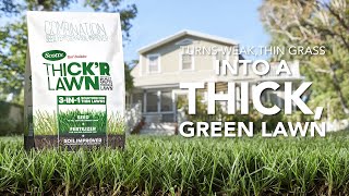 How to Get a Thicker Lawn Using Scotts® Turf Builder® ThickR Lawn® 3In1 Solution [upl. by Hamer]