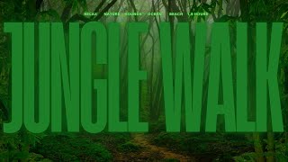 Nature Sounds  Jungle Walk 🌴🌳  Ending on a Beach 🏝️ [upl. by Kenzi]