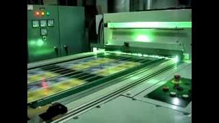 Steinemann Colibri 74 UV Varnishing System  Year 2010 [upl. by Notsuoh709]