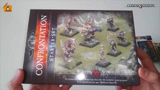 Bigboxgamer  Rackham Confrontation starter set [upl. by Enyrhtak881]