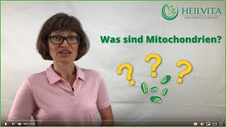 Was sind Mitochondrien Aufgabe und die Funktion  HEILVITA Naturheilpraxis [upl. by Nrobyalc]