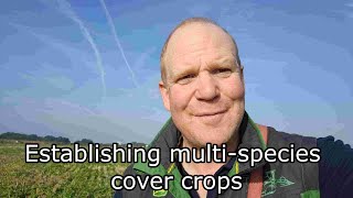 Establishing multi species cover crops [upl. by Kcirdnekel894]