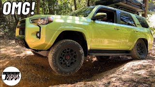 Steep Hill Ascent 4Runner TRD Pro using Crawl Control amp MultiTerrain [upl. by Malca]