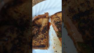 This grilled cheese tasted amazing ChefTyler grilledcheesesandwich bbq lunch [upl. by Cato]