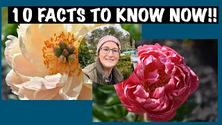 Top 10 Facts About Peonies in Your Garden [upl. by Ardnaskela]