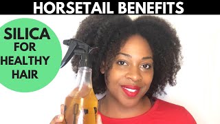 Horsetail for Faster Hair Growth Horsetail Plant TipTuesday [upl. by Dodwell645]