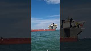 BOSKALIS automobile shipwatching ship shipspotting containership cruiseship tankerships sea [upl. by Alleras]