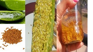 How to Make Methi oil at Home DIY Fenugreek Hair Oil Homemade Methi Oil Aloe Oil for Hair Growth [upl. by Goldberg]