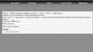 Se prémunir des injections SQL 12  Sécurité web [upl. by Haimaj]
