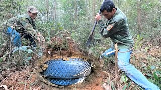 The horrifying moment of 2 men discovering a giant cobra nest in a mound on the edge of the forest [upl. by Aihseuqal580]