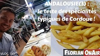 ANDALOUSIE 3  Je teste 2 spécialités de Cordoue  VLOG 183 [upl. by Eivol]