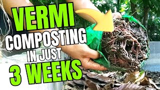 Paano Magsimula ng Vermi Culture Vermi Composting This METHOD works [upl. by Hege]