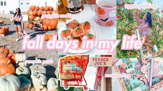 Fall Days in my Life AESTHETIC Apple Picking Trader Joes Pumpkin Patch Cookies  Roxy James [upl. by Laverne183]