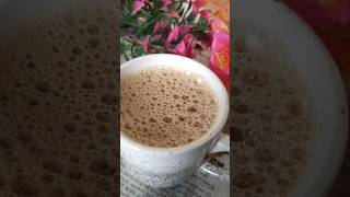 టీ లవర్స్ benefits tea ntv morningmotivation rainyday [upl. by Naujed997]