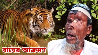 বাঘের সাথে ভয়ঙ্কর লড়াই করে বেঁচে ফেরার লোমহর্ষক ঘটনা । Sundarban Tiger Attacks । বাঘে মানুষে লড়াই [upl. by Aisinoid]