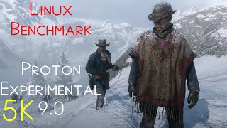 RDR2  5K NATIVE  LINUX BENCHMARK  Experimental Mesa [upl. by Egbert]