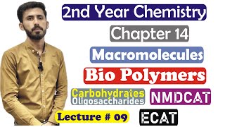 2nd Year Chemistry Chapter 14 Macromolecules Biopolymers Carbohydrates Oligosaccharides Lec 9 [upl. by Shurlock503]