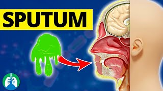 Stool sputum urine Specimen collection ELearn with Zakir [upl. by Lawrenson]