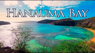 Hanauma Bay Snorkeling Day reopened and full of life in 2021 [upl. by Bui]