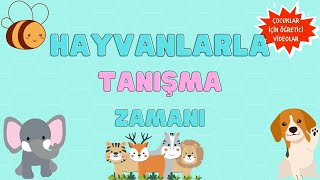 Hayvanları Tanıyalım  Çocukları İçin Öğretici Videolar  Hayvanları Öğreniyorum [upl. by Kary303]