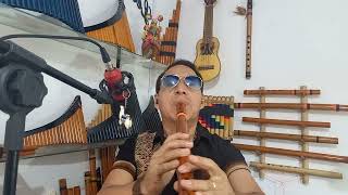 flauta Quenacho en Re maior teste com a música  ocarina  Léo Ancco [upl. by Parnell195]