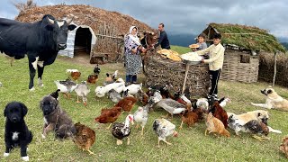 Creating Traditional Local Cheese Baking Bread And Cooking Fried Chicken [upl. by Icul837]