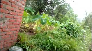 kausani barish musam update ⛰️🌩️vlog in YouTube vologvideo [upl. by Cheston826]