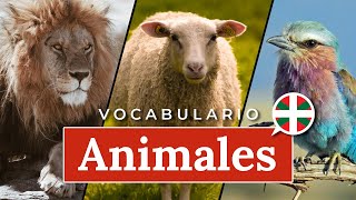 Aprender euskera  Primeras palabras ANIMALES [upl. by Perlie]