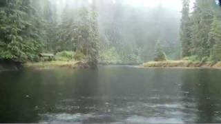 Tongass A Rare Glimpse Into Americas Rainforest [upl. by Kenwrick]