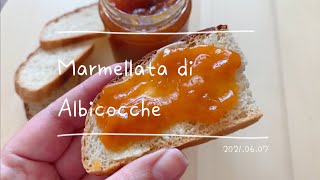 MARMELLATA DI ALBICOCCHE [upl. by Orpah]