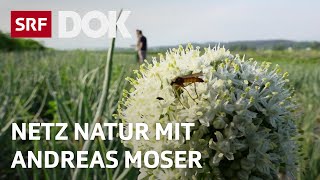 Landwirtschaft ohne Pestizide  NETZ NATUR mit Andreas Moser  DOK  SRF Wissen [upl. by Lyrad]