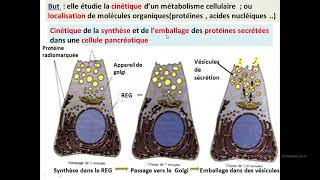 Cytologieبالعربية  2 Les méthodes détude de la cellule  Part 3 MEB  Les techniques [upl. by Sierra]