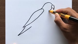 How to Draw a Parrot [upl. by Berghoff]