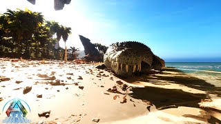 What Is A Deinosuchus Sanguineus In Ark Survival Ascended [upl. by Kettie]