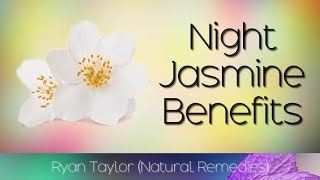 Night Jasmine Benefits and Uses Harsingar [upl. by Enaz]