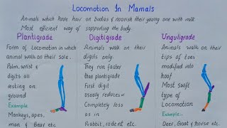 Locomotion in mammals  plantigrade digitigrade unguligrade  class 12 [upl. by Tony]