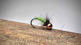 Simple Caddis Larva  Easy Beginner Fly [upl. by Einafit354]