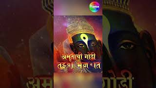 अमृताची गोडी तुझ्या भजनात  AmrutachiI Godi with Lyrics  विठ्ठलाची गाजलेली भक्तिगीत  Marathi Song [upl. by Aizti]