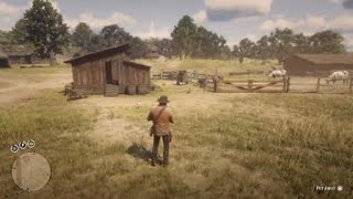 Red Dead Redemption 2  RDR2  LEGHORN CHICKEN  LOCATION  ZOOLOGIST 25 [upl. by Aleiram]