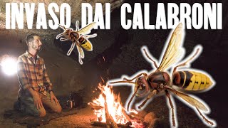 CALABRONI MI INVADONO IL CAMPO Notte nel bosco con equipaggiamento tradizionale [upl. by Darnell]