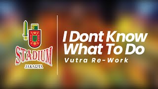 I Dont Know What To Do Vutra ReWork [upl. by Euqnom]