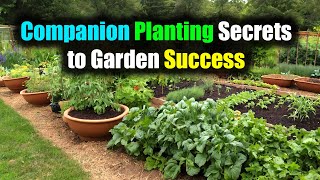 Mastering Companion Planting Secrets to Garden Success [upl. by Aseuqram]