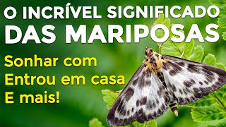 MARIPOSA ENTROU NA SUA CASA Significado espiritual e sonhar com mariposas [upl. by Johann]