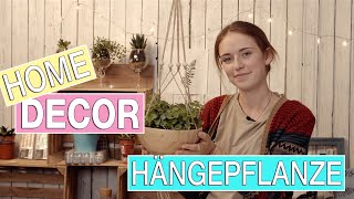 Hängepflanzen selber machen  Pflanzen aufhängen DIY  Inspiration für Zuhause  Einrichtungsidee [upl. by Egin670]